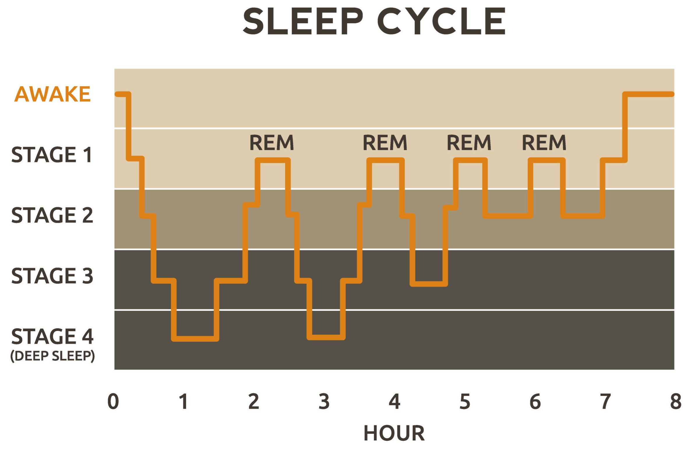 what-does-rem-stand-for-in-sleep